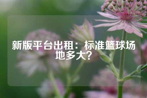 新版平台出租：标准篮球场地多大？-第1张图片-皇冠信用盘出租